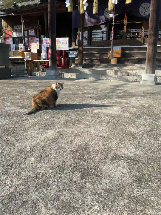 加茂別雷神社の{uncategorized: "未分類", other: "その他", undefined: "問題あり", building: "その他建物", grave: "お墓", sacred_gate: "鳥居", guardian: "狛犬", statue: "像", buddha: "仏像", history: "歴史", nature: "自然", garden: "庭園", animal: "動物", pagoda: "塔", temizu: "手水舎", mountain_gate: "山門・神門", sanctuary: "本殿・本堂", subordinate: "末社・摂社", art: "芸術", scenery: "景色", jizo: "地蔵", ema: "絵馬", goshuin: "御朱印", omikuji: "おみくじ", items: "授与品その他", amulet: "お守り", goshuincho: "御朱印帳", eats: "食事", festival: "お祭り", votive_dance: "神楽", shichigosan: "七五三参", wedding: "結婚式", experience: "体験その他", initially: "初詣", around: "周辺", anti_infection: "感染症対策"}