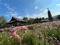 般若寺 ❁コスモス寺❁のその他建物