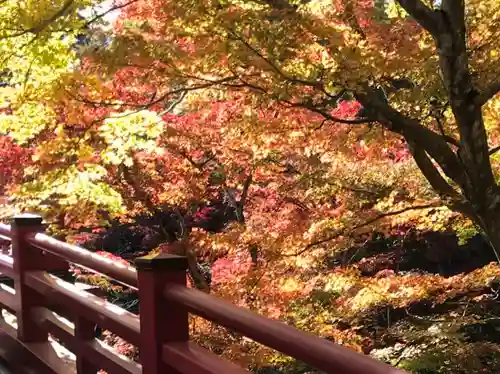 彌彦神社の景色