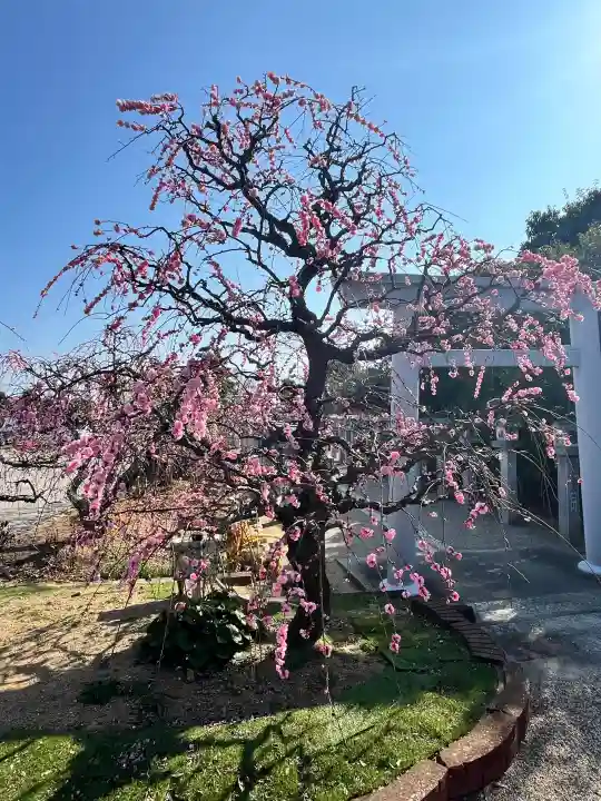 比佐豆知神社の{uncategorized: "未分類", other: "その他", undefined: "問題あり", building: "その他建物", grave: "お墓", sacred_gate: "鳥居", guardian: "狛犬", statue: "像", buddha: "仏像", history: "歴史", nature: "自然", garden: "庭園", animal: "動物", pagoda: "塔", temizu: "手水舎", mountain_gate: "山門・神門", sanctuary: "本殿・本堂", subordinate: "末社・摂社", art: "芸術", scenery: "景色", jizo: "地蔵", ema: "絵馬", goshuin: "御朱印", omikuji: "おみくじ", items: "授与品その他", amulet: "お守り", goshuincho: "御朱印帳", eats: "食事", festival: "お祭り", votive_dance: "神楽", shichigosan: "七五三参", wedding: "結婚式", experience: "体験その他", initially: "初詣", around: "周辺", anti_infection: "感染症対策"}
