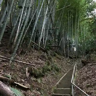 愛宕神社の周辺