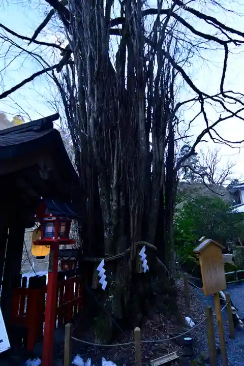貴船神社の自然
