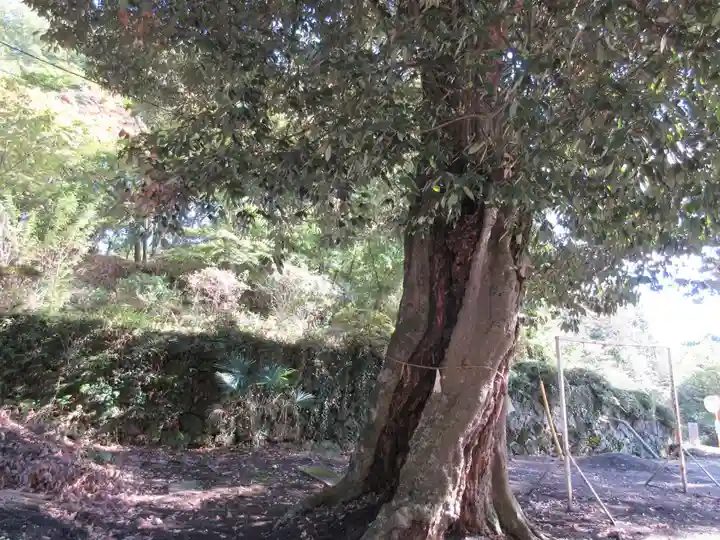 三峯神社の自然