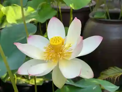 伊勢の国 四天王寺(三重県)