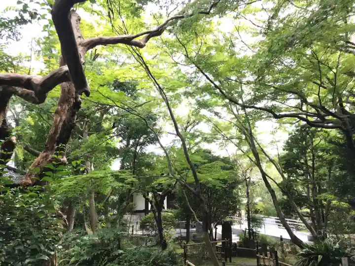 大正寺の庭園