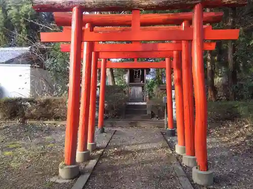 青柳神社の鳥居