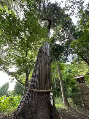八幡神社(千葉県)