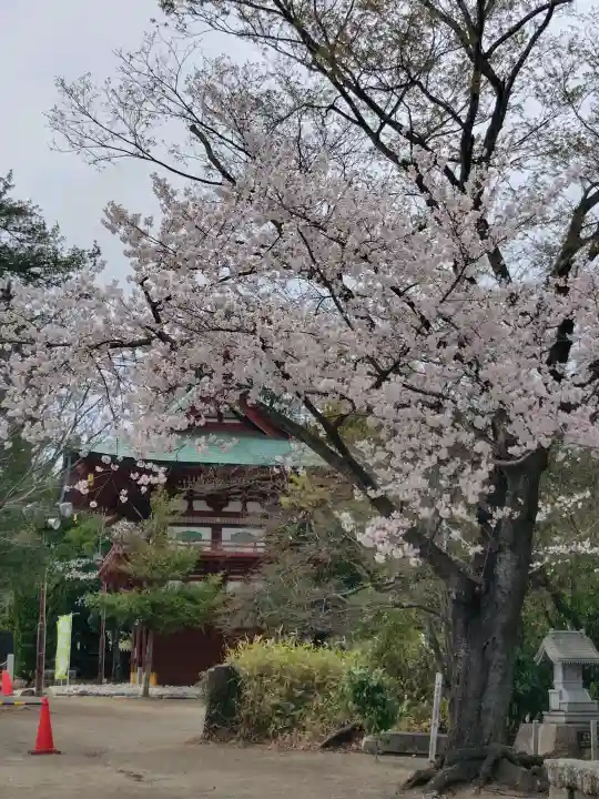 飯野八幡宮の{uncategorized: "未分類", other: "その他", undefined: "問題あり", building: "その他建物", grave: "お墓", sacred_gate: "鳥居", guardian: "狛犬", statue: "像", buddha: "仏像", history: "歴史", nature: "自然", garden: "庭園", animal: "動物", pagoda: "塔", temizu: "手水舎", mountain_gate: "山門・神門", sanctuary: "本殿・本堂", subordinate: "末社・摂社", art: "芸術", scenery: "景色", jizo: "地蔵", ema: "絵馬", goshuin: "御朱印", omikuji: "おみくじ", items: "授与品その他", amulet: "お守り", goshuincho: "御朱印帳", eats: "食事", festival: "お祭り", votive_dance: "神楽", shichigosan: "七五三参", wedding: "結婚式", experience: "体験その他", initially: "初詣", around: "周辺", anti_infection: "感染症対策"}