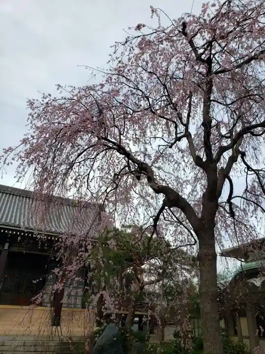 圓照寺(東京都)