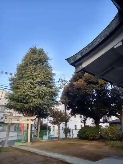 浅間神社の鳥居