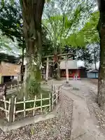 橋本大鷲神社(神奈川県)