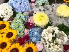 豊平神社の手水