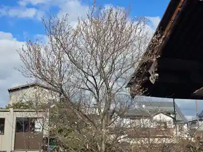 元興寺(奈良県)