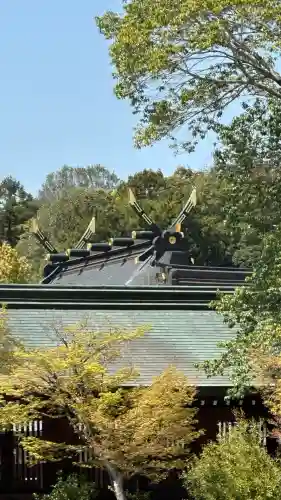 橿原神宮(奈良県)