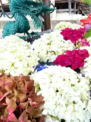 長遠寺の手水舎