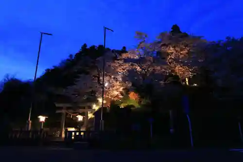 長屋神社の景色