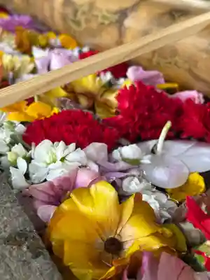 群馬県護国神社(群馬県)