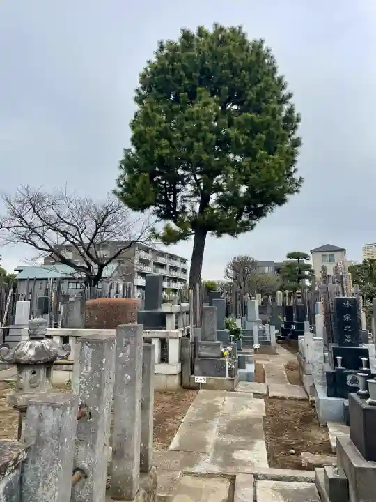 頤神襌院の{uncategorized: "未分類", other: "その他", undefined: "問題あり", building: "その他建物", grave: "お墓", sacred_gate: "鳥居", guardian: "狛犬", statue: "像", buddha: "仏像", history: "歴史", nature: "自然", garden: "庭園", animal: "動物", pagoda: "塔", temizu: "手水舎", mountain_gate: "山門・神門", sanctuary: "本殿・本堂", subordinate: "末社・摂社", art: "芸術", scenery: "景色", jizo: "地蔵", ema: "絵馬", goshuin: "御朱印", omikuji: "おみくじ", items: "授与品その他", amulet: "お守り", goshuincho: "御朱印帳", eats: "食事", festival: "お祭り", votive_dance: "神楽", shichigosan: "七五三参", wedding: "結婚式", experience: "体験その他", initially: "初詣", around: "周辺", anti_infection: "感染症対策"}