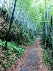 丹生都比売神社(和歌山県)