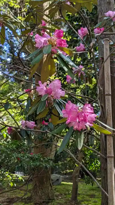 龍安寺(京都府)