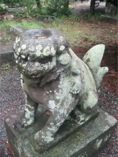 常堅寺の狛犬