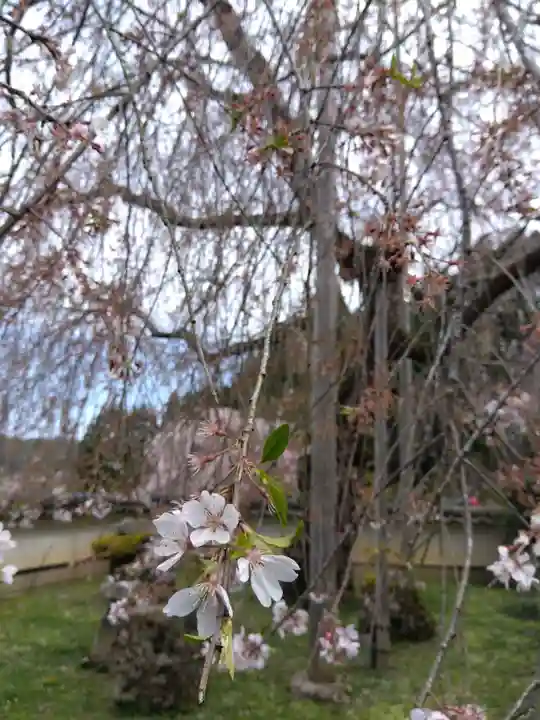 福徳寺(京都府)