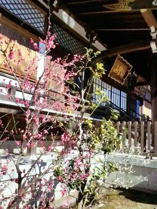 福蔵院(東京都)