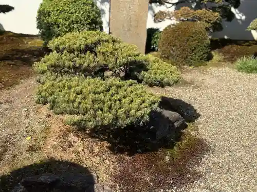 西方山極楽寺(岐阜県)