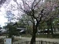 聖福寺(福岡県)