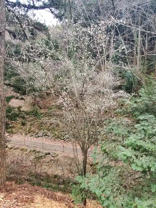 武蔵二宮 金鑚神社(埼玉県)
