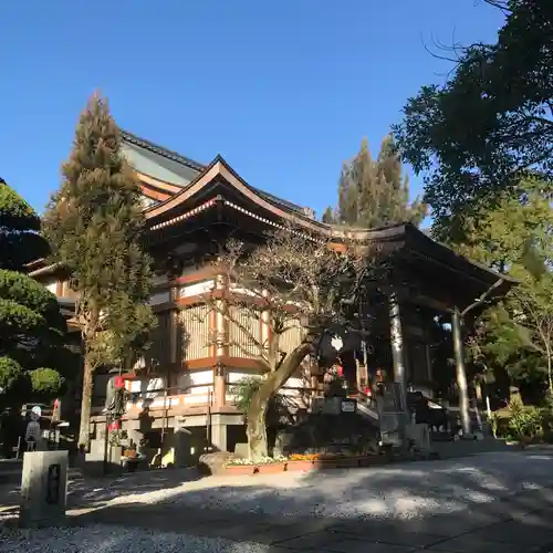 善楽寺の本殿・本堂