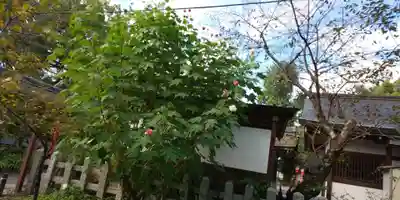 平野神社(京都府)