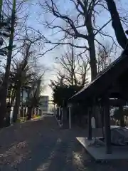 新琴似神社の建物その他