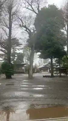 井草八幡宮(東京都)