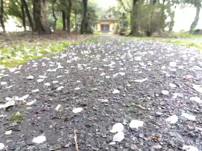 江守神社(福井県)