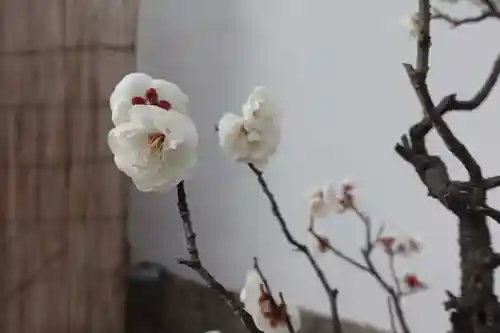 菅原天満宮（菅原神社）の自然