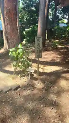 山神社(宮城県)