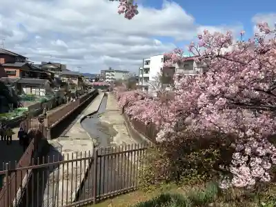長円寺の{uncategorized: "未分類", other: "その他", undefined: "問題あり", building: "その他建物", grave: "お墓", sacred_gate: "鳥居", guardian: "狛犬", statue: "像", buddha: "仏像", history: "歴史", nature: "自然", garden: "庭園", animal: "動物", pagoda: "塔", temizu: "手水舎", mountain_gate: "山門・神門", sanctuary: "本殿・本堂", subordinate: "末社・摂社", art: "芸術", scenery: "景色", jizo: "地蔵", ema: "絵馬", goshuin: "御朱印", omikuji: "おみくじ", items: "授与品その他", amulet: "お守り", goshuincho: "御朱印帳", eats: "食事", festival: "お祭り", votive_dance: "神楽", shichigosan: "七五三参", wedding: "結婚式", experience: "体験その他", initially: "初詣", around: "周辺", anti_infection: "感染症対策"}