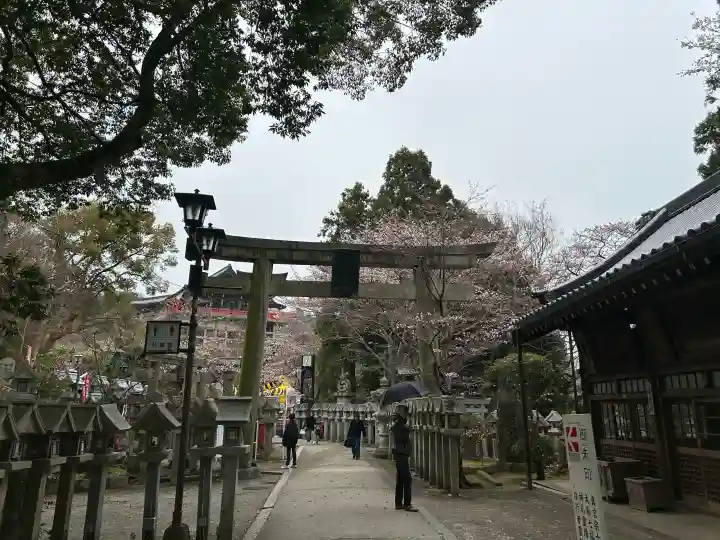 朝護孫子寺の{uncategorized: "未分類", other: "その他", undefined: "問題あり", building: "その他建物", grave: "お墓", sacred_gate: "鳥居", guardian: "狛犬", statue: "像", buddha: "仏像", history: "歴史", nature: "自然", garden: "庭園", animal: "動物", pagoda: "塔", temizu: "手水舎", mountain_gate: "山門・神門", sanctuary: "本殿・本堂", subordinate: "末社・摂社", art: "芸術", scenery: "景色", jizo: "地蔵", ema: "絵馬", goshuin: "御朱印", omikuji: "おみくじ", items: "授与品その他", amulet: "お守り", goshuincho: "御朱印帳", eats: "食事", festival: "お祭り", votive_dance: "神楽", shichigosan: "七五三参", wedding: "結婚式", experience: "体験その他", initially: "初詣", around: "周辺", anti_infection: "感染症対策"}
