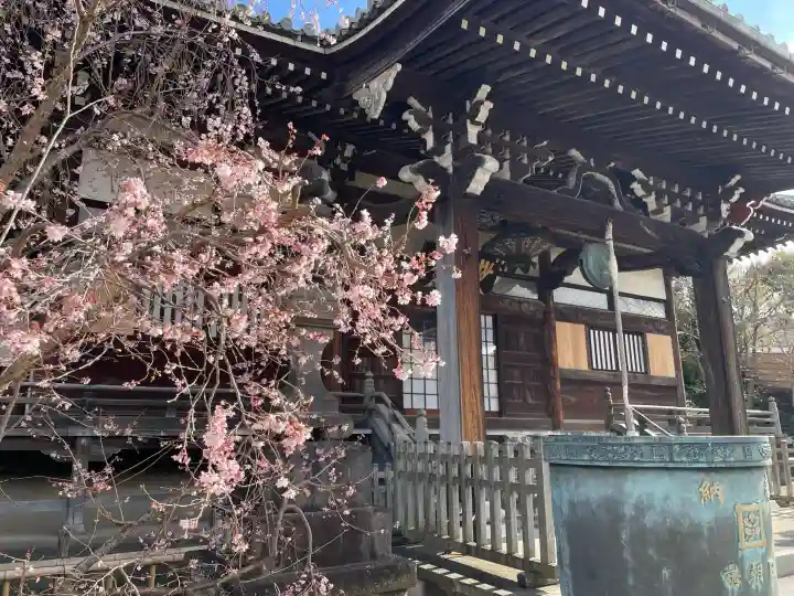妙蓮寺の{uncategorized: "未分類", other: "その他", undefined: "問題あり", building: "その他建物", grave: "お墓", sacred_gate: "鳥居", guardian: "狛犬", statue: "像", buddha: "仏像", history: "歴史", nature: "自然", garden: "庭園", animal: "動物", pagoda: "塔", temizu: "手水舎", mountain_gate: "山門・神門", sanctuary: "本殿・本堂", subordinate: "末社・摂社", art: "芸術", scenery: "景色", jizo: "地蔵", ema: "絵馬", goshuin: "御朱印", omikuji: "おみくじ", items: "授与品その他", amulet: "お守り", goshuincho: "御朱印帳", eats: "食事", festival: "お祭り", votive_dance: "神楽", shichigosan: "七五三参", wedding: "結婚式", experience: "体験その他", initially: "初詣", around: "周辺", anti_infection: "感染症対策"}