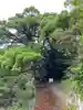 大山祇神社奥の院 生樹の御門(愛媛県)