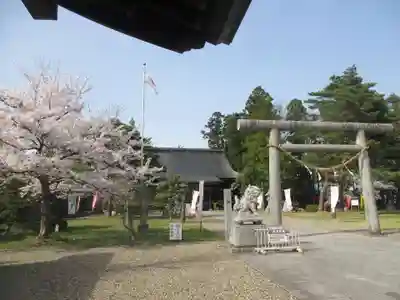 鳥谷崎神社(岩手県)