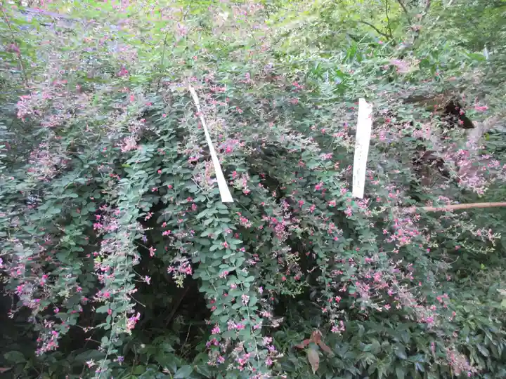 梨木神社の自然