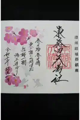 さくらと猫が素敵🎵