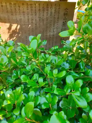 薬師寺(大阪府)