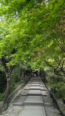 高台寺（高台寿聖禅寺・高臺寺）(京都府)