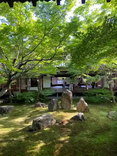 建仁寺（建仁禅寺）の庭園