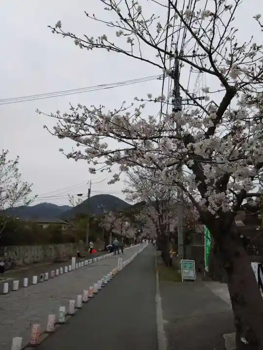 本妙寺(熊本県)