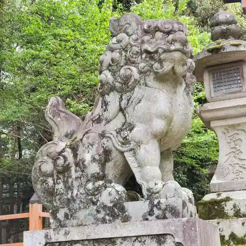 春日大社の狛犬