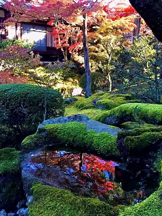 天授庵(京都府)